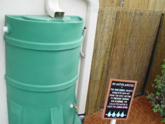 Rain Barrel